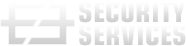 Security Services Logo